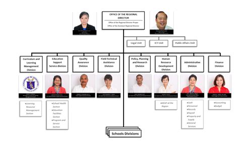 doh region 6|New DOH Region VI Director .